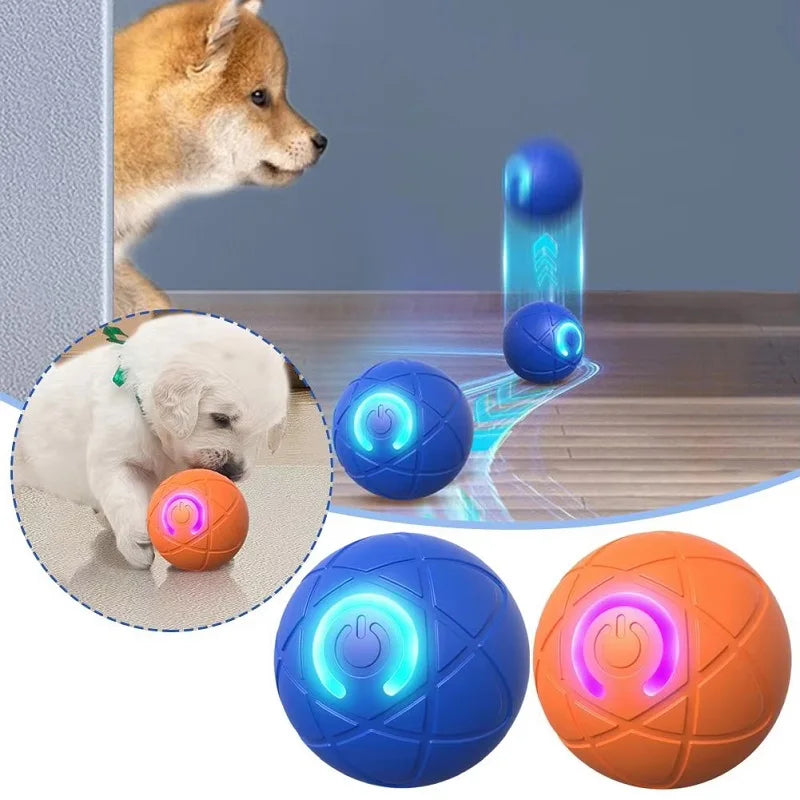 Pawcify Chase
