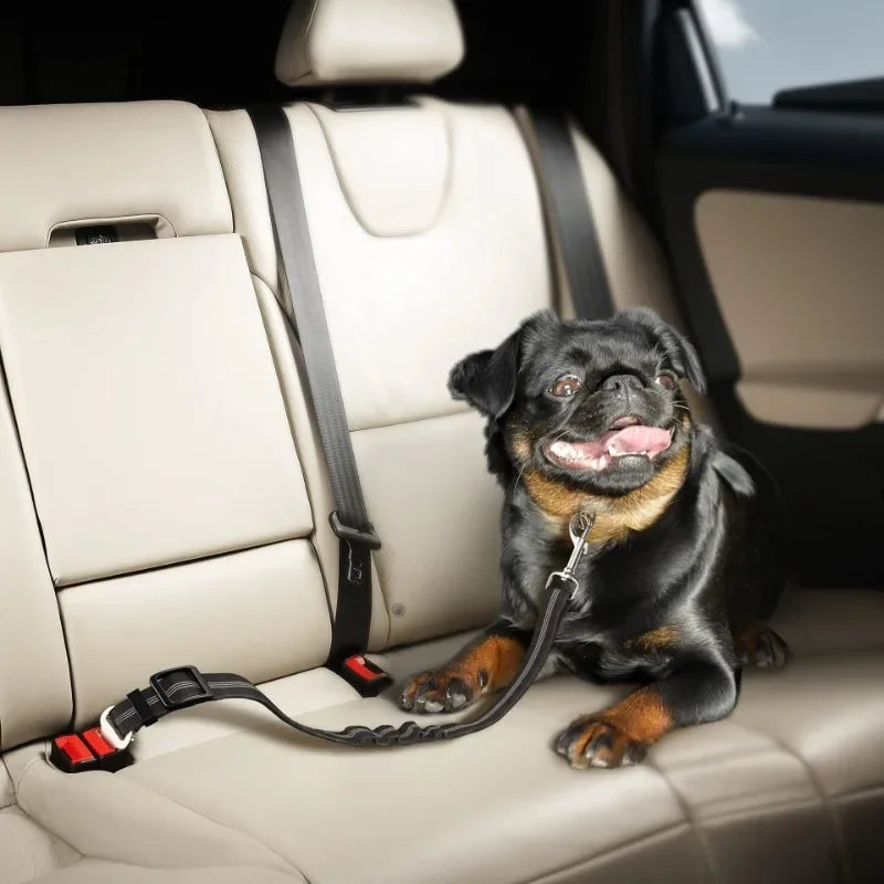 Pawcify Buckle - Dog Car Seat Belt Tether