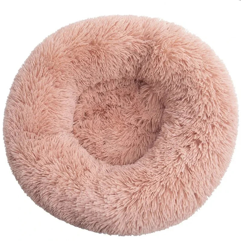 Large Pawcify Nest
