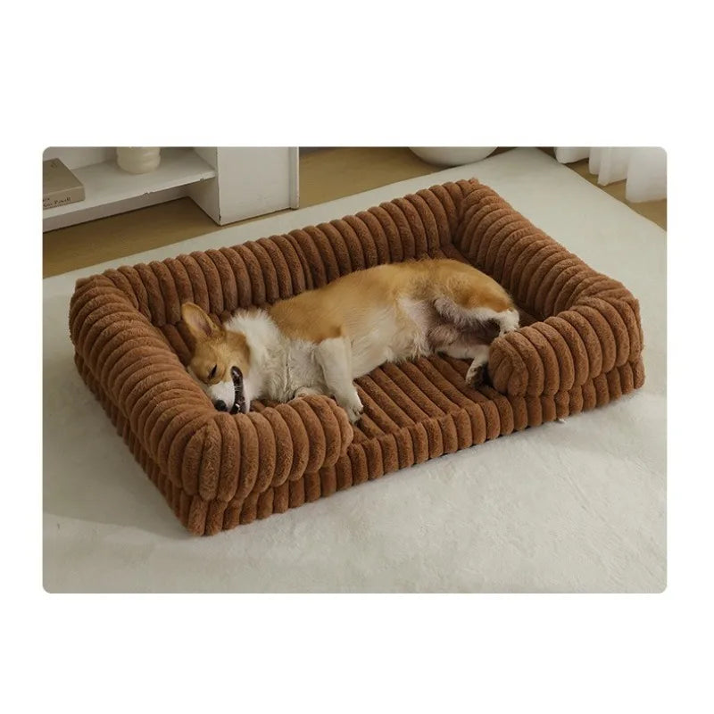 Small Pawcify Steady 40CM Bundle 15%