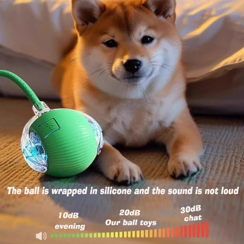 Pawcify Chase