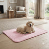 Pawcify Breeze Mat