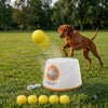 Pawcify Fetch - Automatic Ball Launcher