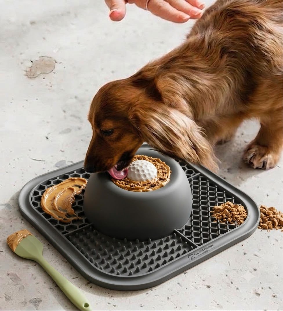 Feed & Play