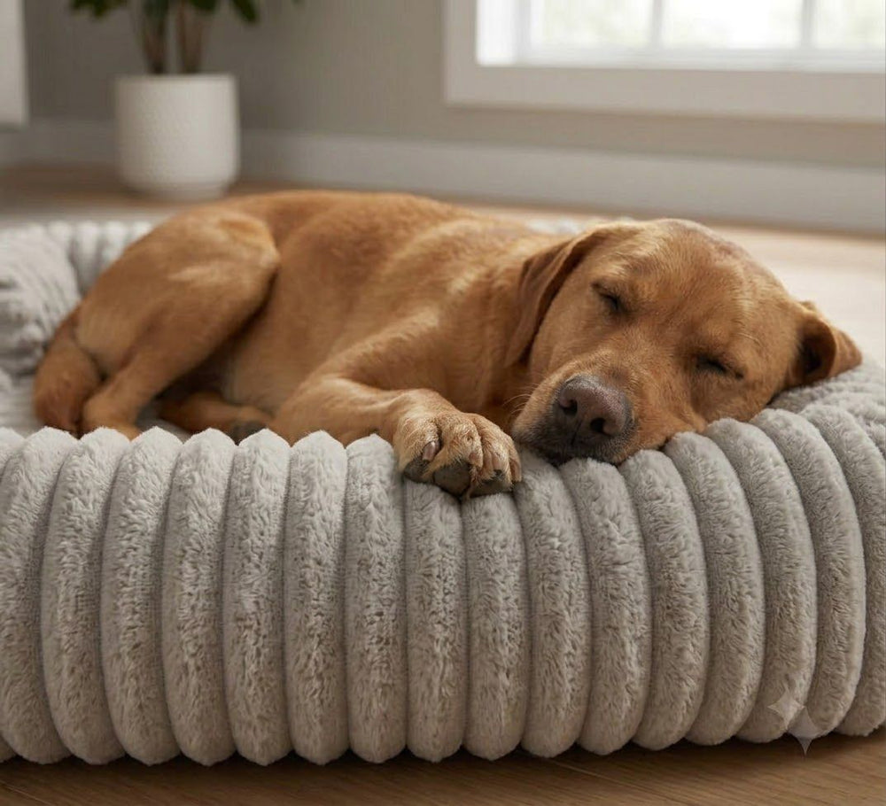 Beds